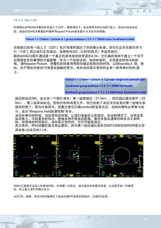 模擬飛行 BMS F-16 中文訓練手冊 18.5近距離空中保護-7853