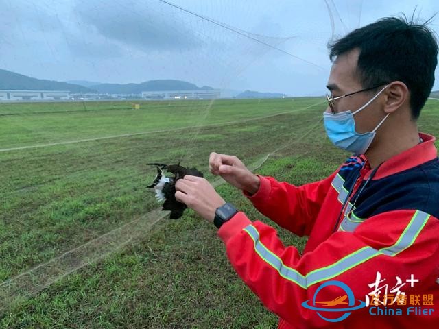 保障航空器飛行安全，珠海機場探索“智慧 生態(tài)”驅(qū)鳥方式-5943